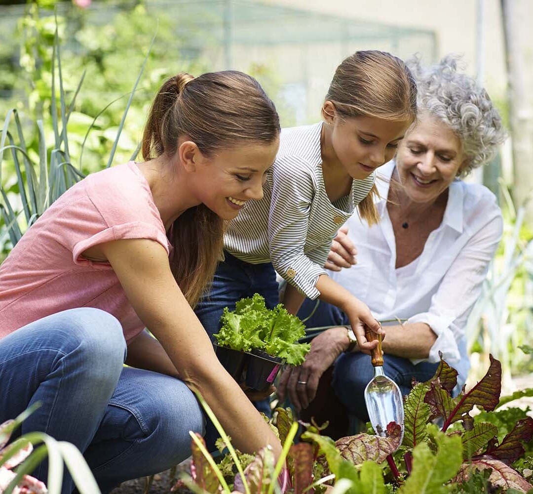 Community-Garden