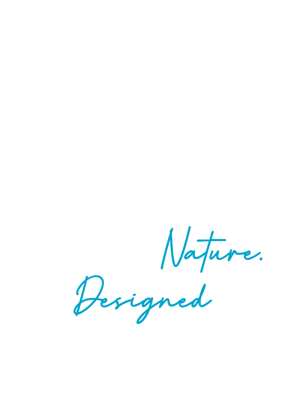ponder-landing-page-hero-mobile-text-edited-LL-i2 ponder-landing-page-hero-mobile-text-edited-LL-i2