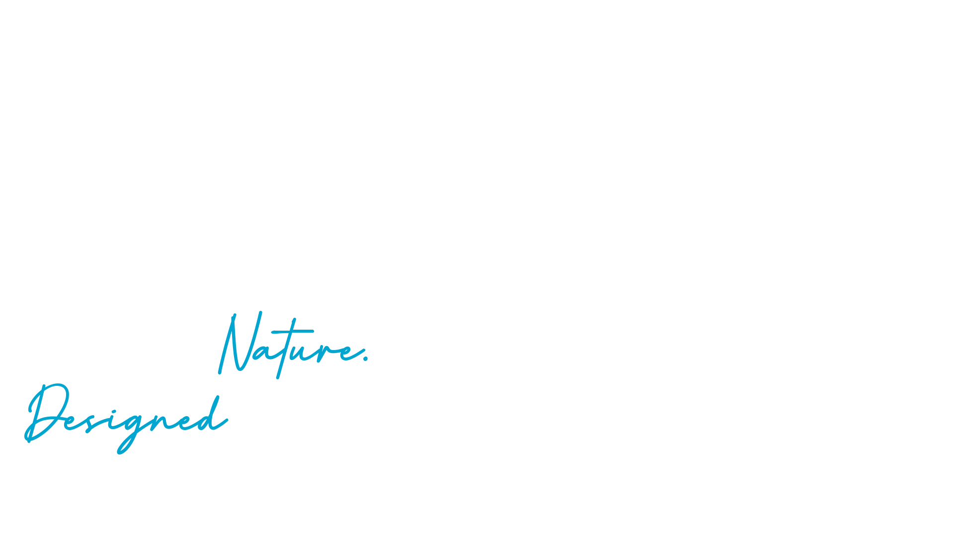 ponder-landing-page-hero-text-edited-LL-i2 ponder-landing-page-hero-text-edited-LL-i2